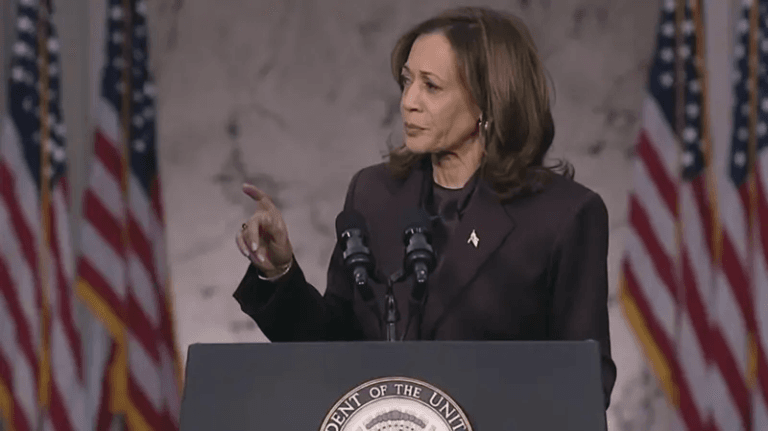 The Aftermath of Kamala Harris’s Campaign Collapse