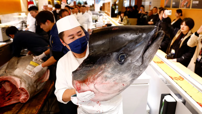Bluefin Tuna Fetches $1.3 Million at Tokyo’s Prestigious New Year Auction