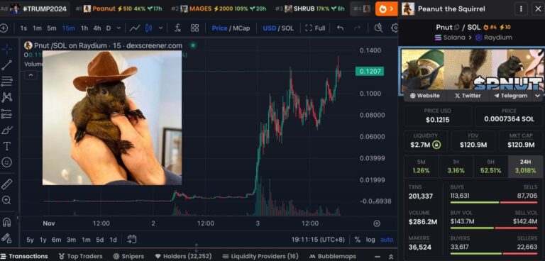The Tale of Pnut, the Beloved Squirrel, and a Crypto Phenomenon