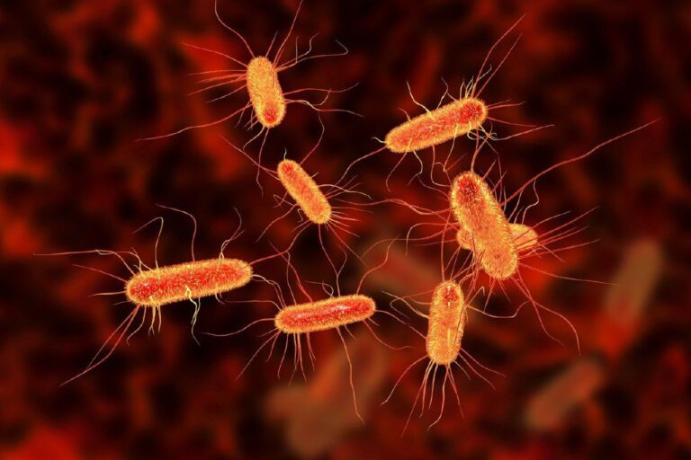 Rising Colorectal Cancer Rates in Young Adults Linked to Gut Bacteria Toxin, Study Finds