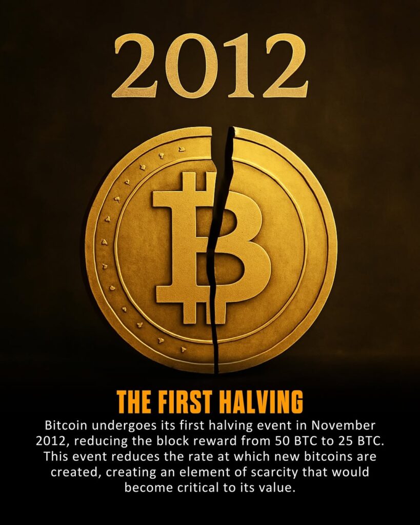 The Epic Journey of Bitcoin: From Mystery to Global Digital Asset 6 SnapInsta.to 508391516 17966095940917546 7955500672684016772 n