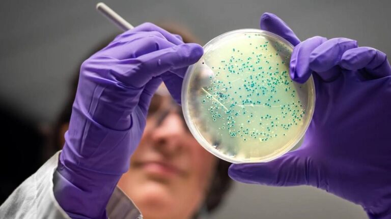 Listeriosis Outbreak Prompts Major Meal Recall